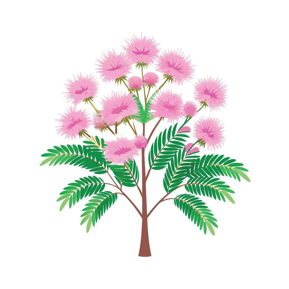 Beautiful Single Big Tree Illustration vector