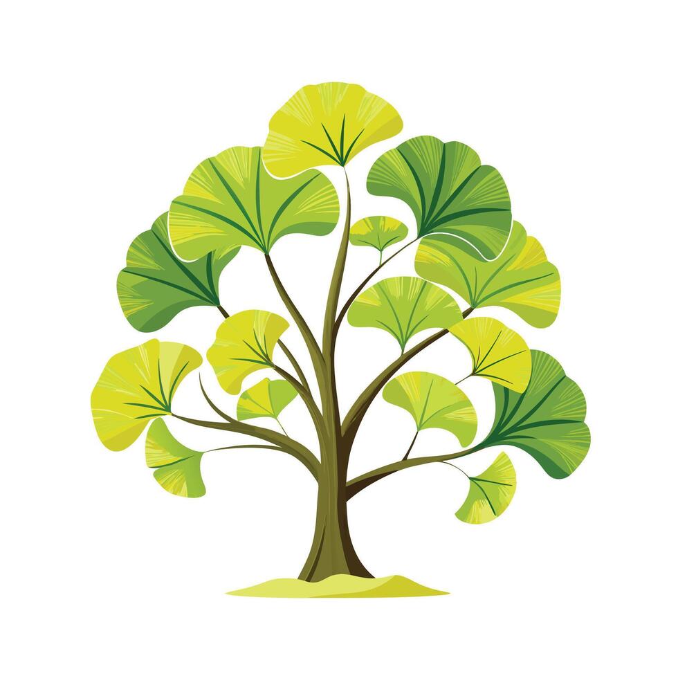 Beautiful Single Big Tree Illustration vector