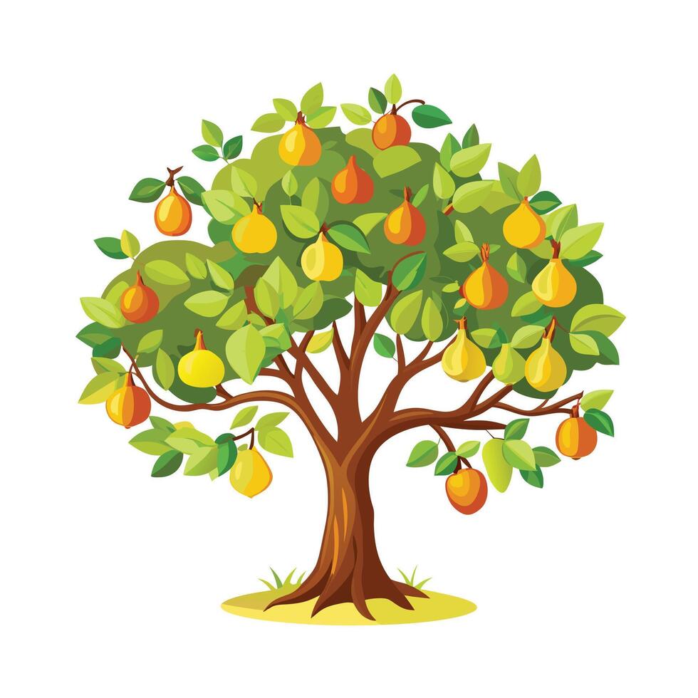 Beautiful Single Big Tree Illustration vector