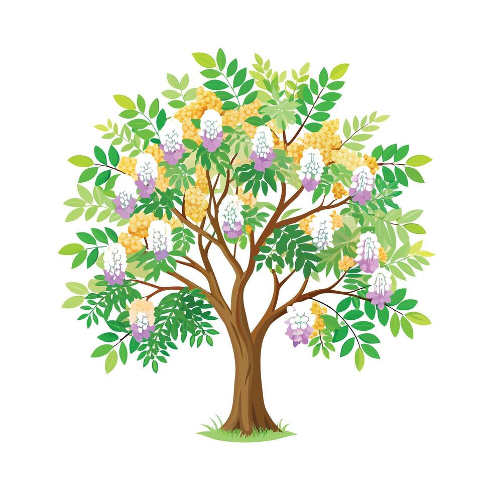Beautiful Single Big Tree Illustration vector