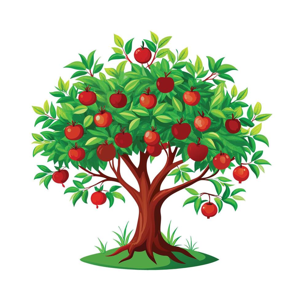Beautiful Single Big Tree Illustration vector