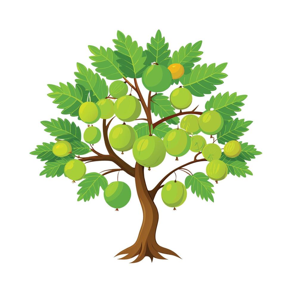 Beautiful Single Big Tree Illustration vector