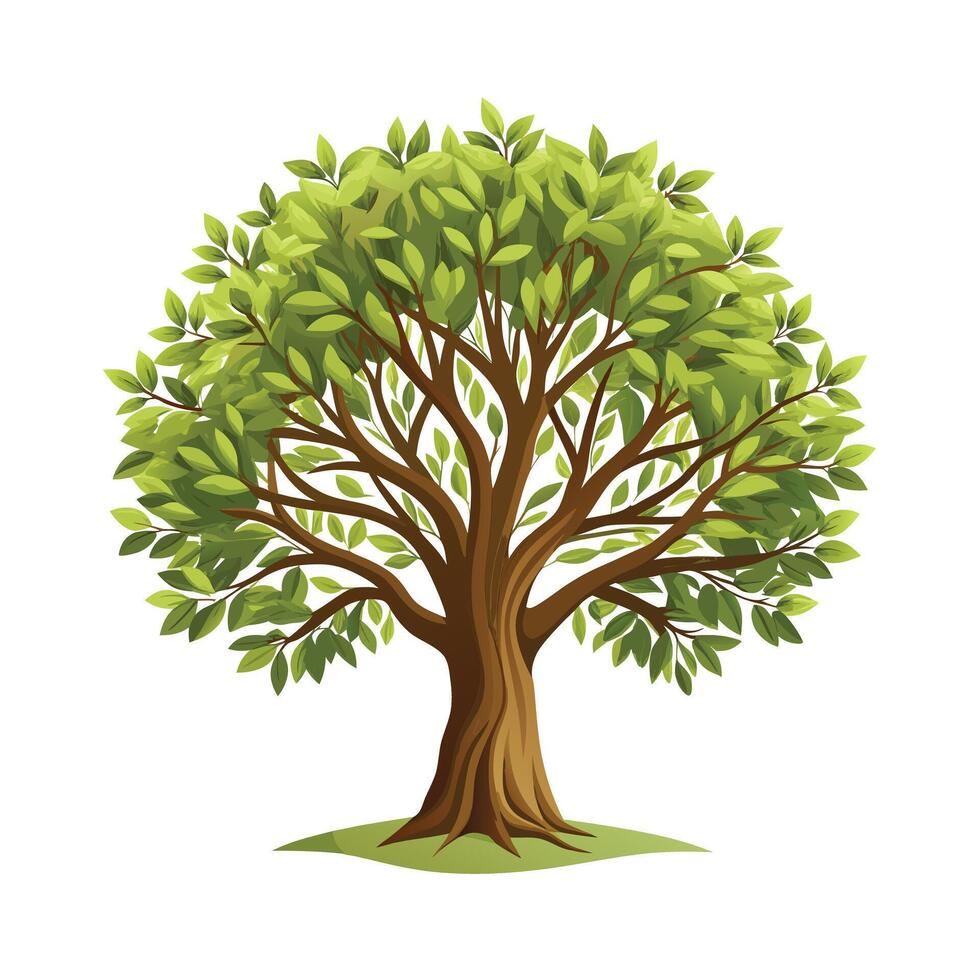 Beautiful Single Big Tree Illustration vector