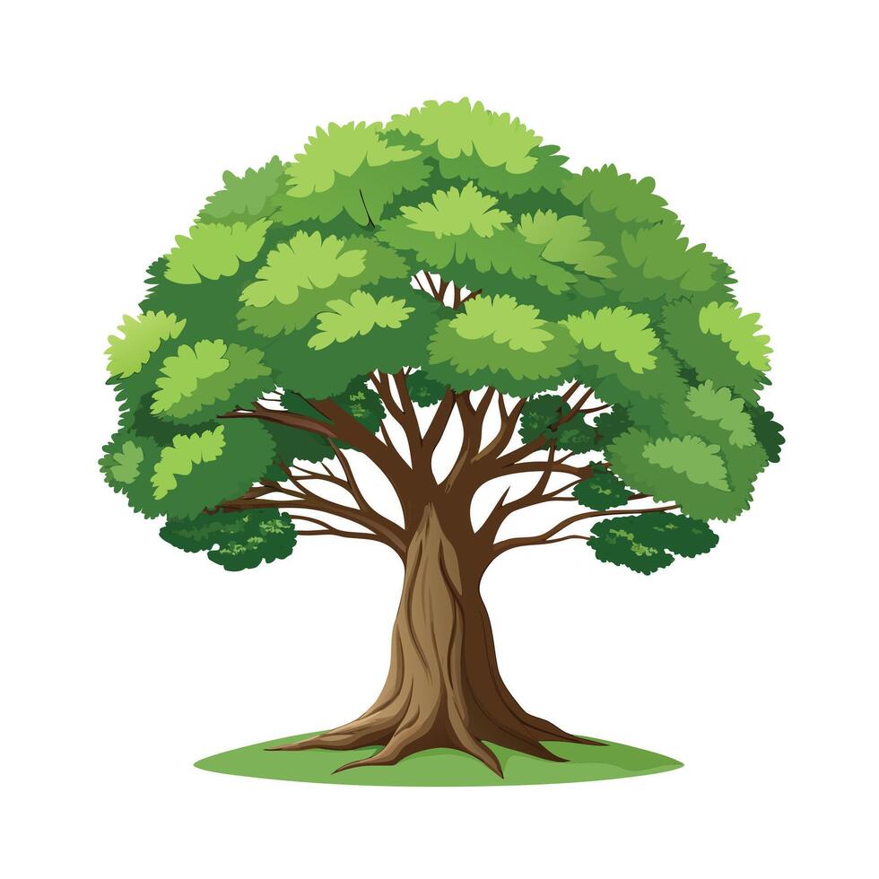 Beautiful Single Big Tree Illustration vector