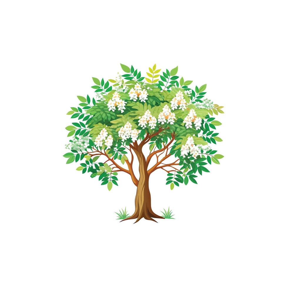 Beautiful Single Big Tree Illustration vector