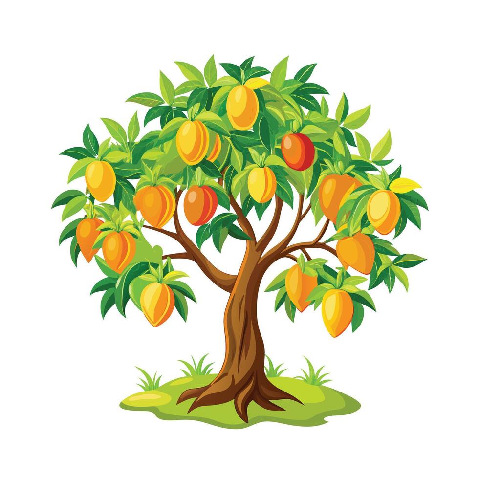 Beautiful Single Big Tree Illustration vector
