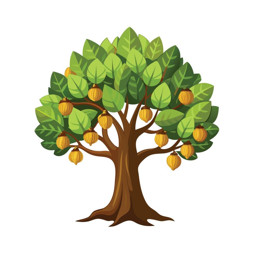 Beautiful Single Big Tree Illustration vector
