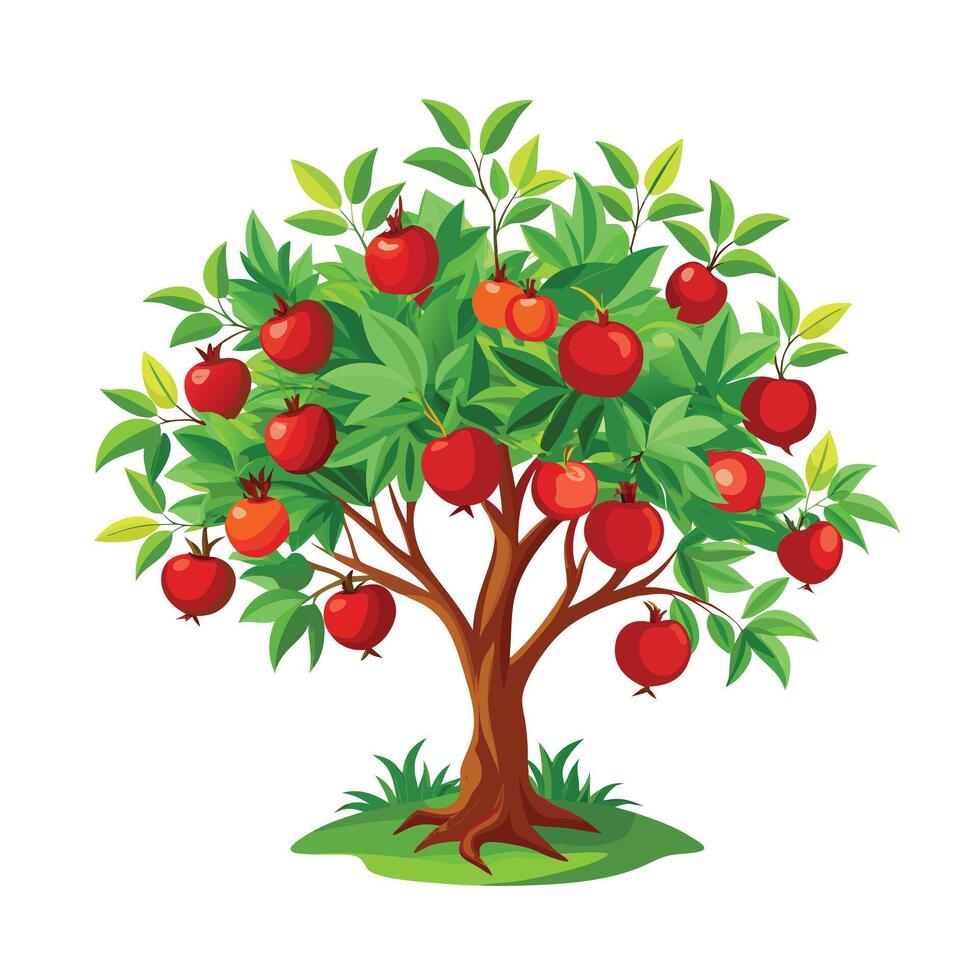 Beautiful Single Big Tree Illustration vector