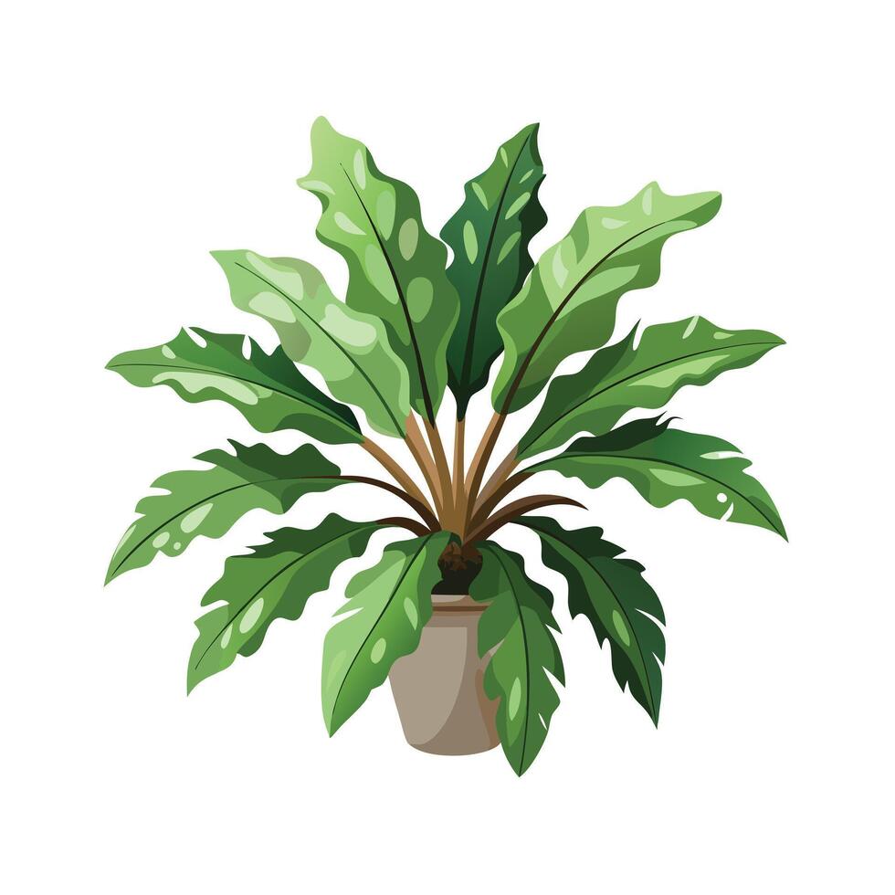 Beautiful Flowerpot Houseplant Illustration vector