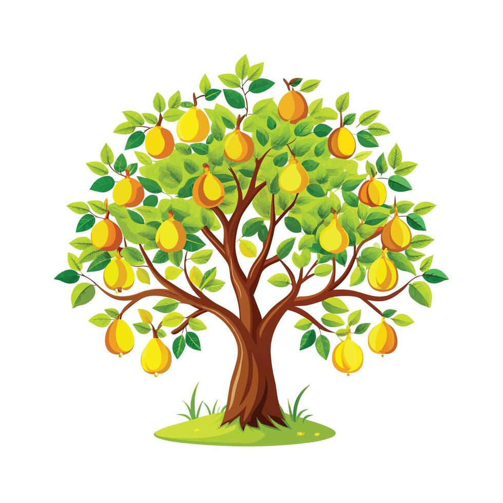 Beautiful Single Big Tree Illustration vector