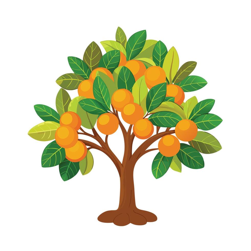 Beautiful Single Big Tree Illustration vector