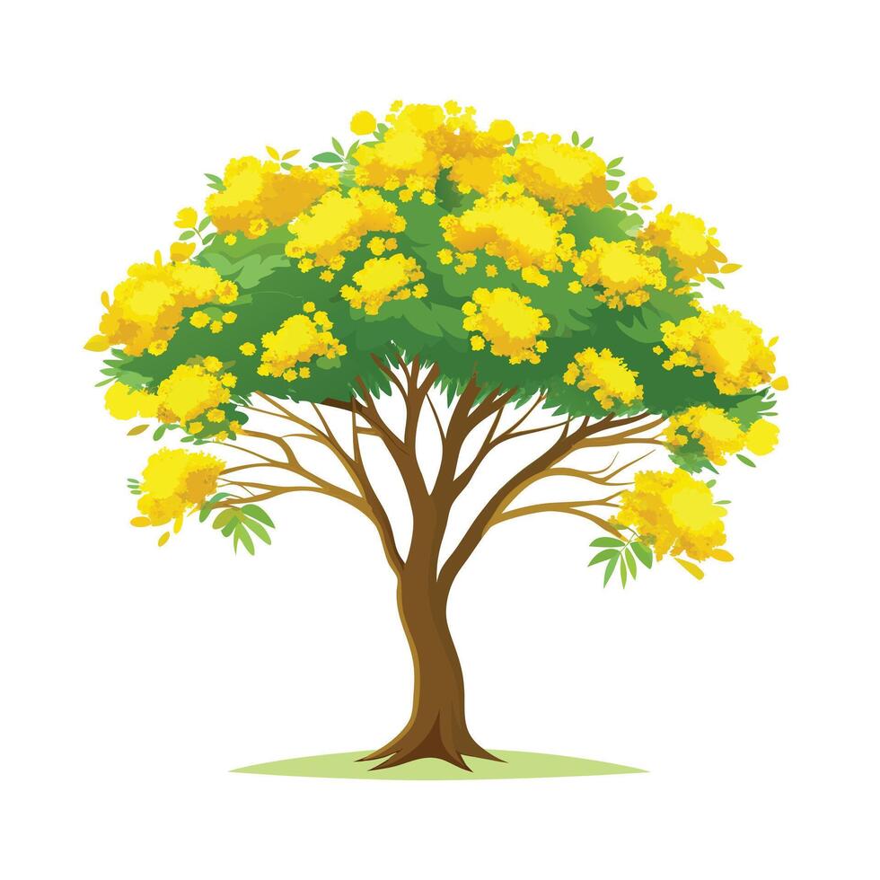 Beautiful Single Big Tree Illustration vector