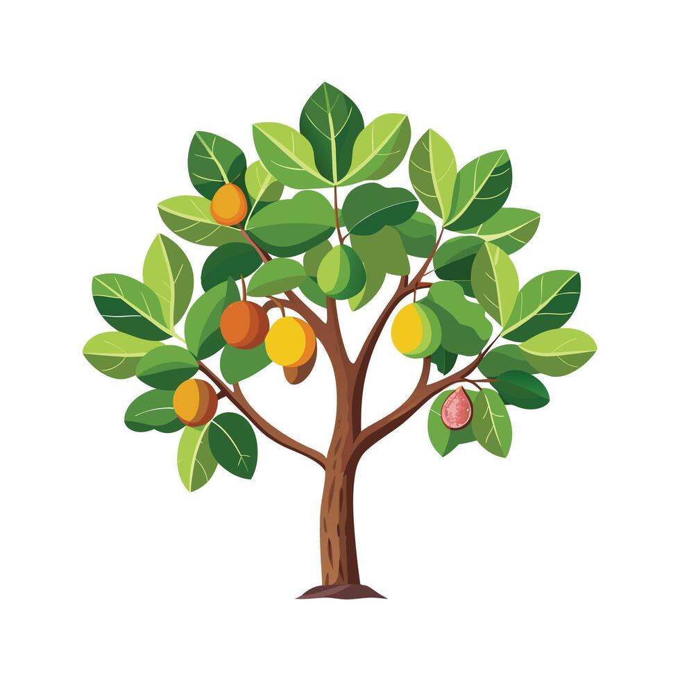 Beautiful Single Big Tree Illustration vector