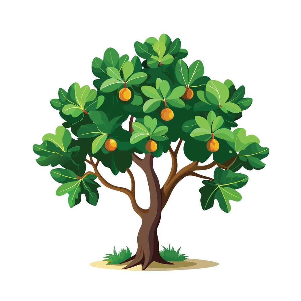 Beautiful Single Big Tree Illustration vector
