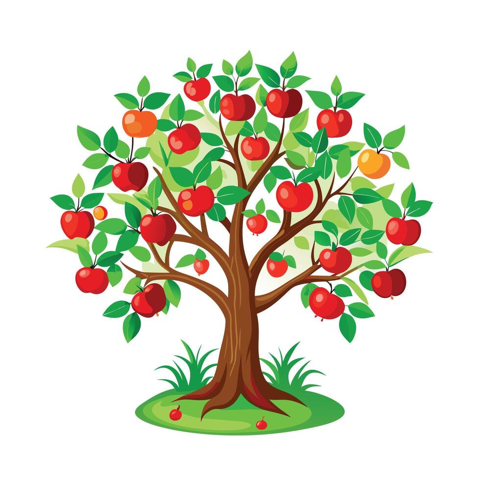 Beautiful Single Big Tree Illustration vector