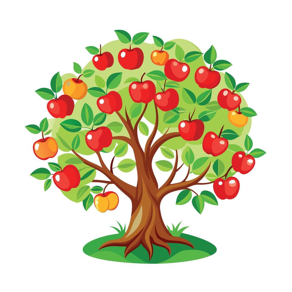 Beautiful Single Big Tree Illustration vector