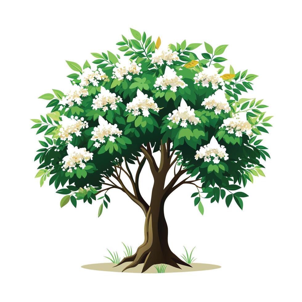Beautiful Single Big Tree Illustration vector