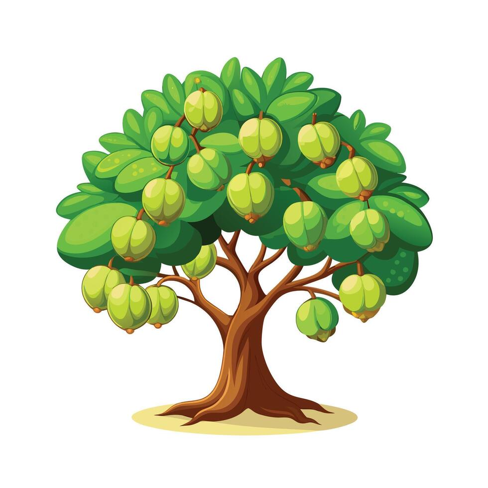 Beautiful Single Big Tree Illustration vector
