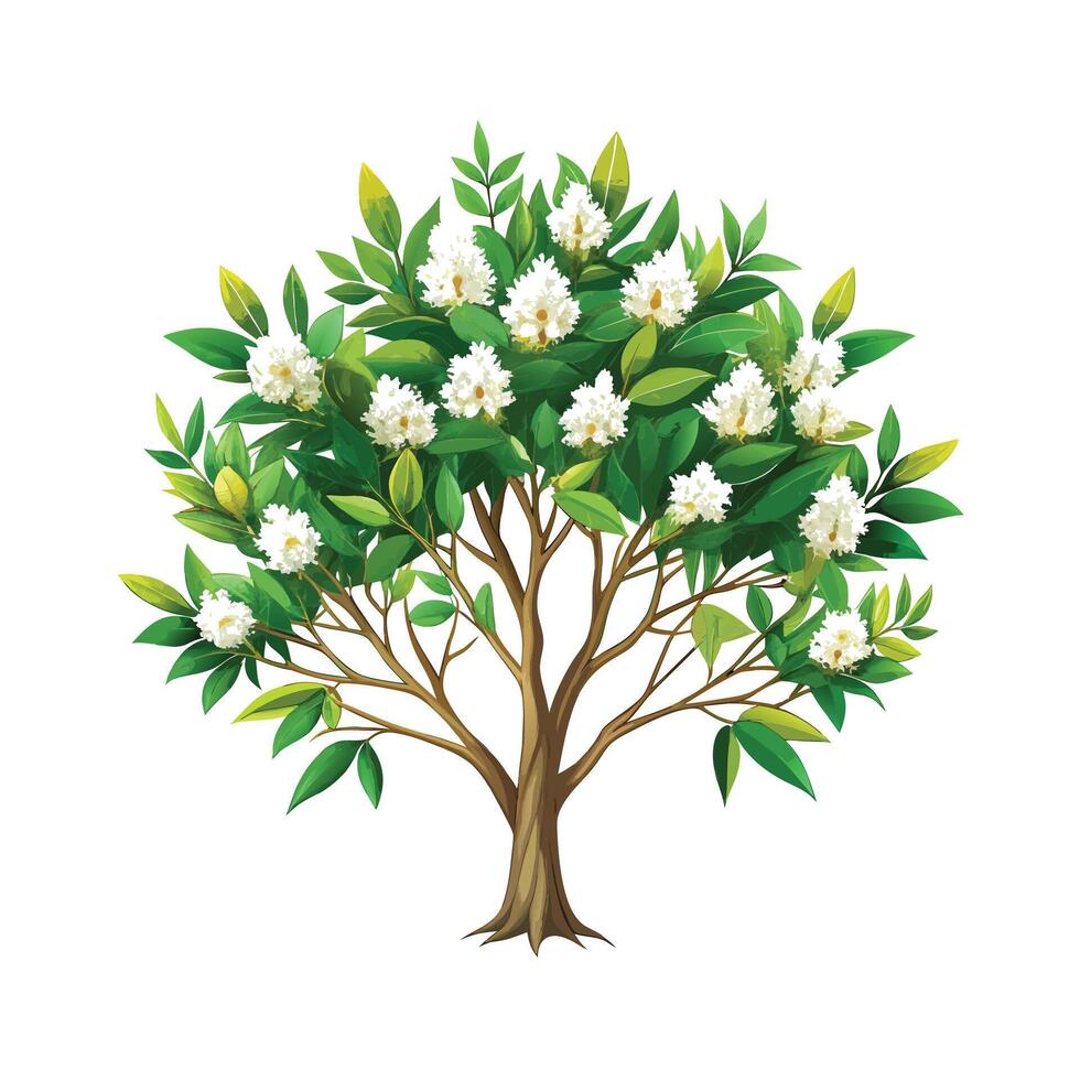 Beautiful Single Big Tree Illustration vector