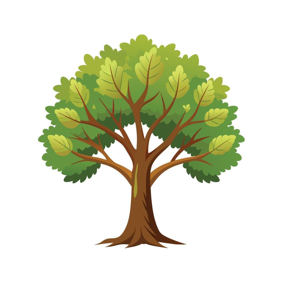 Beautiful Single Big Tree Illustration vector
