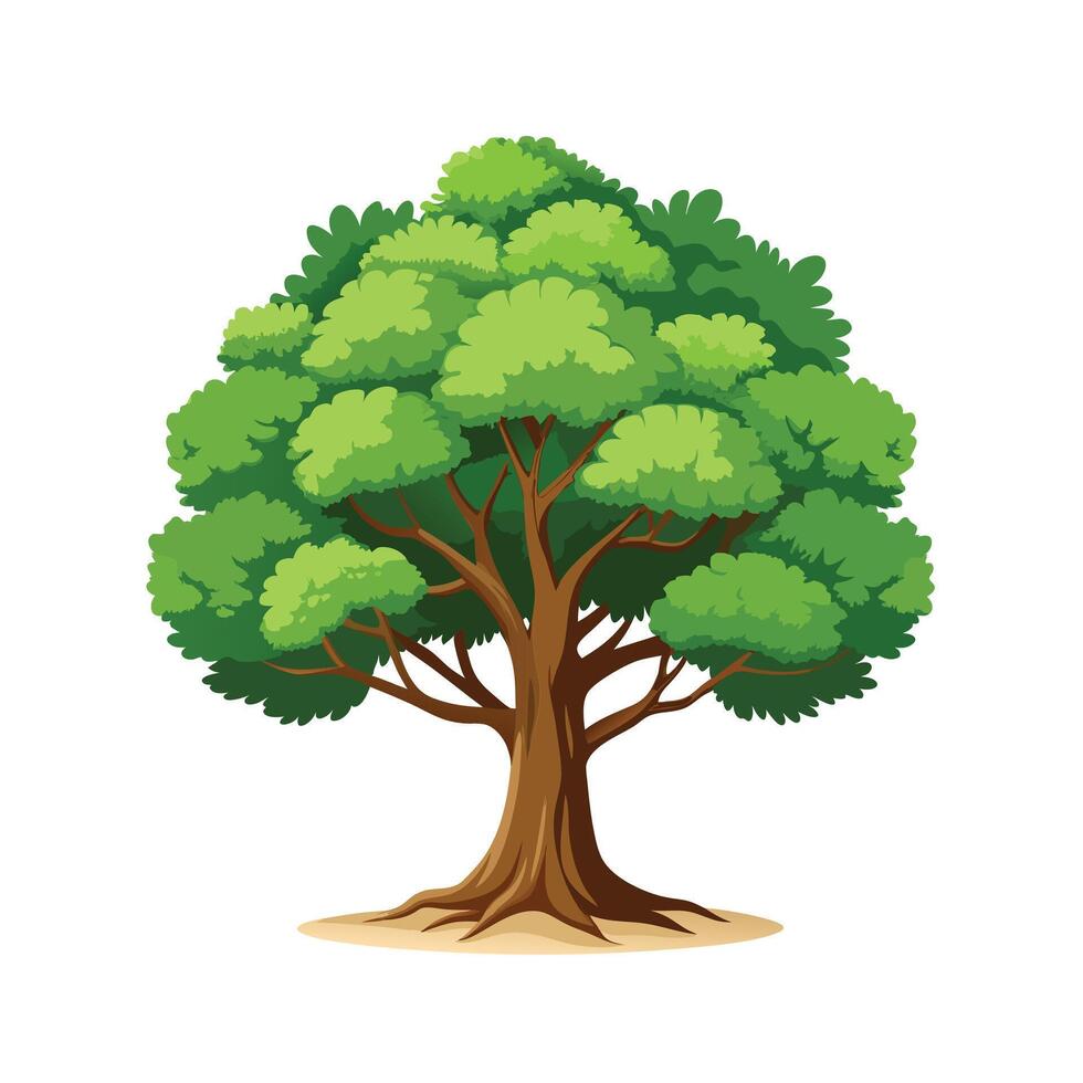 Beautiful Single Big Tree Illustration vector