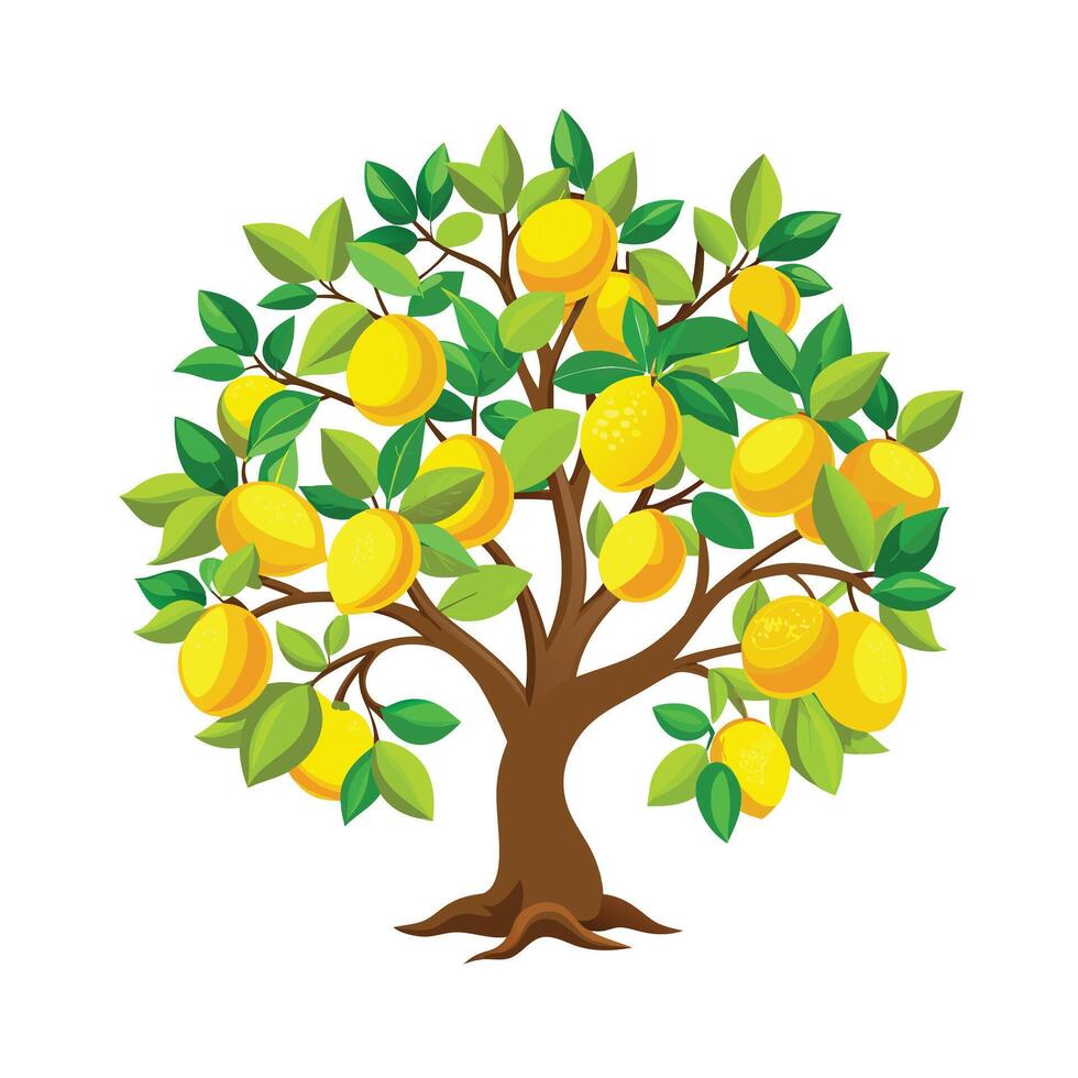 Beautiful Single Big Tree Illustration vector