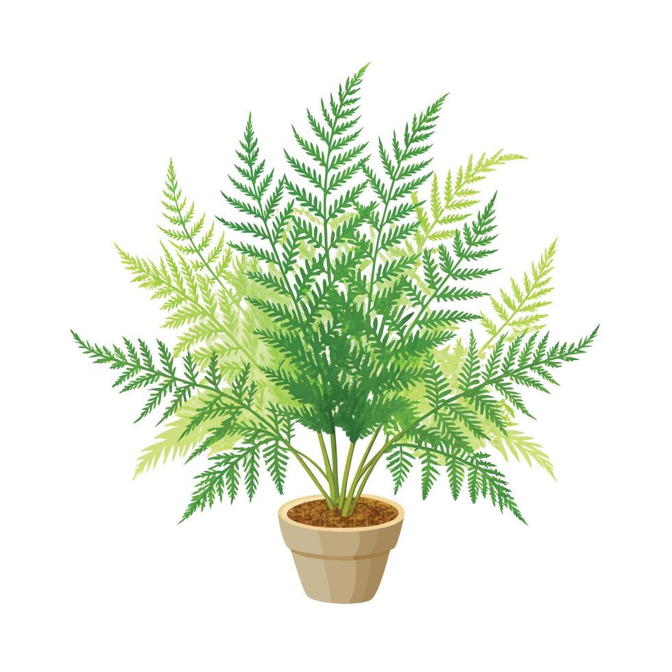 Beautiful Flowerpot Houseplant Illustration vector