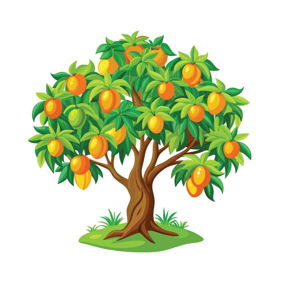 Beautiful Single Big Tree Illustration vector