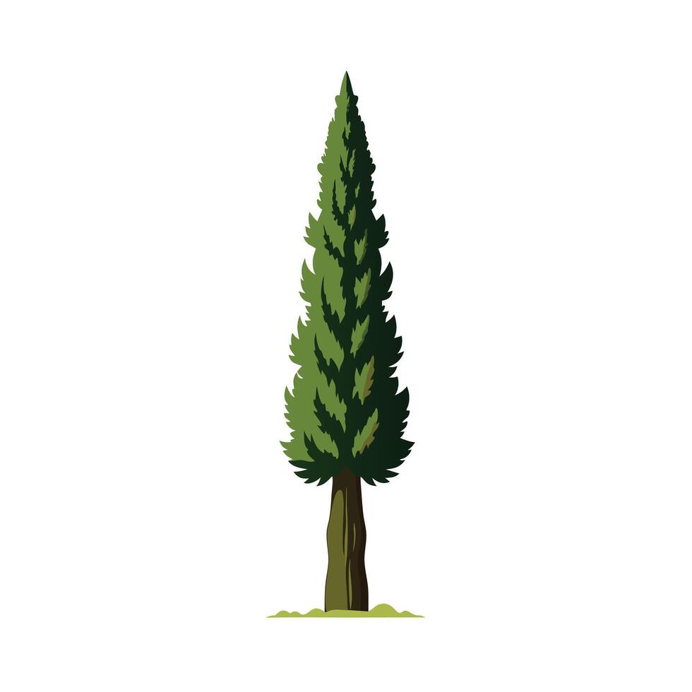 Beautiful Single Big Tree Illustration vector