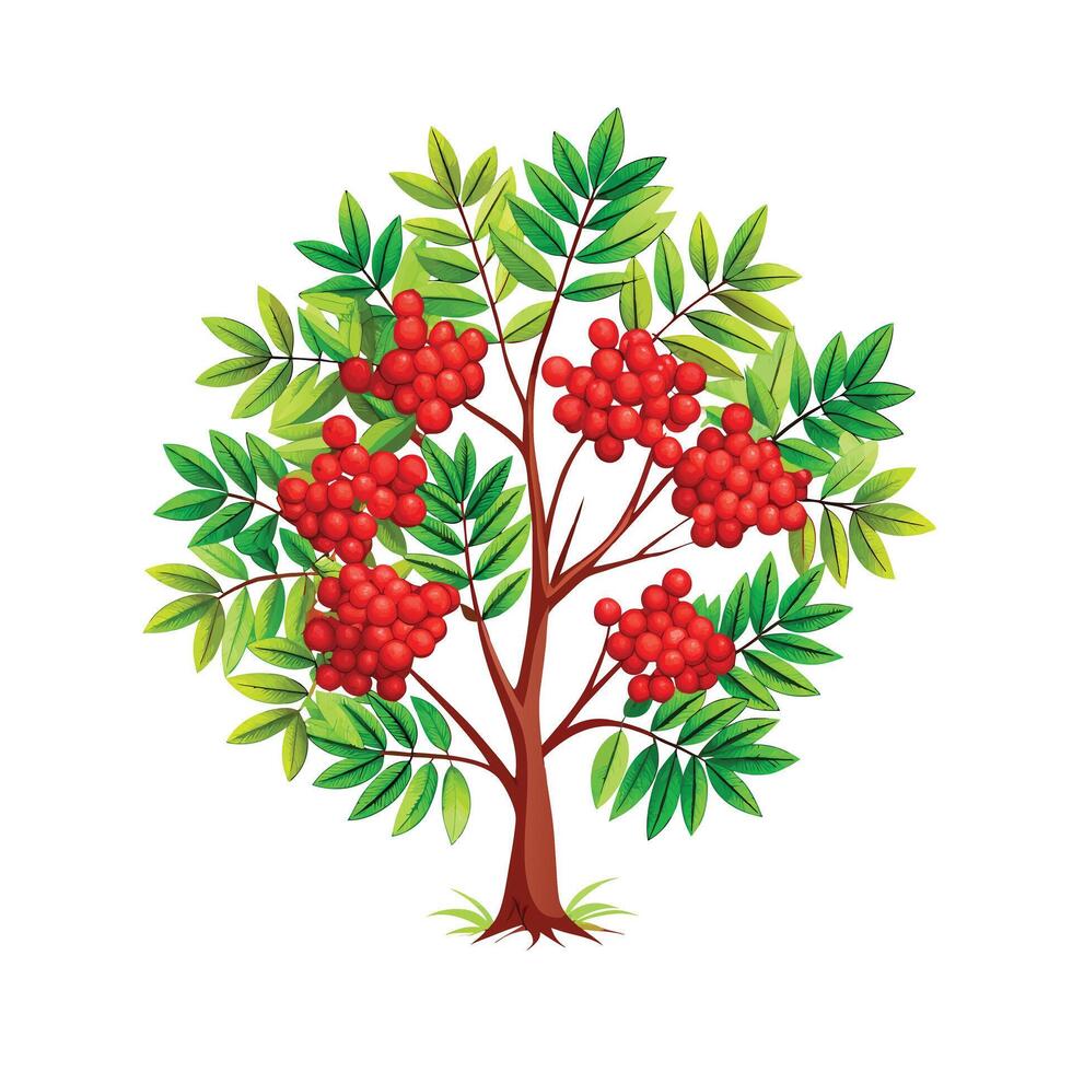 Beautiful Single Big Tree Illustration vector