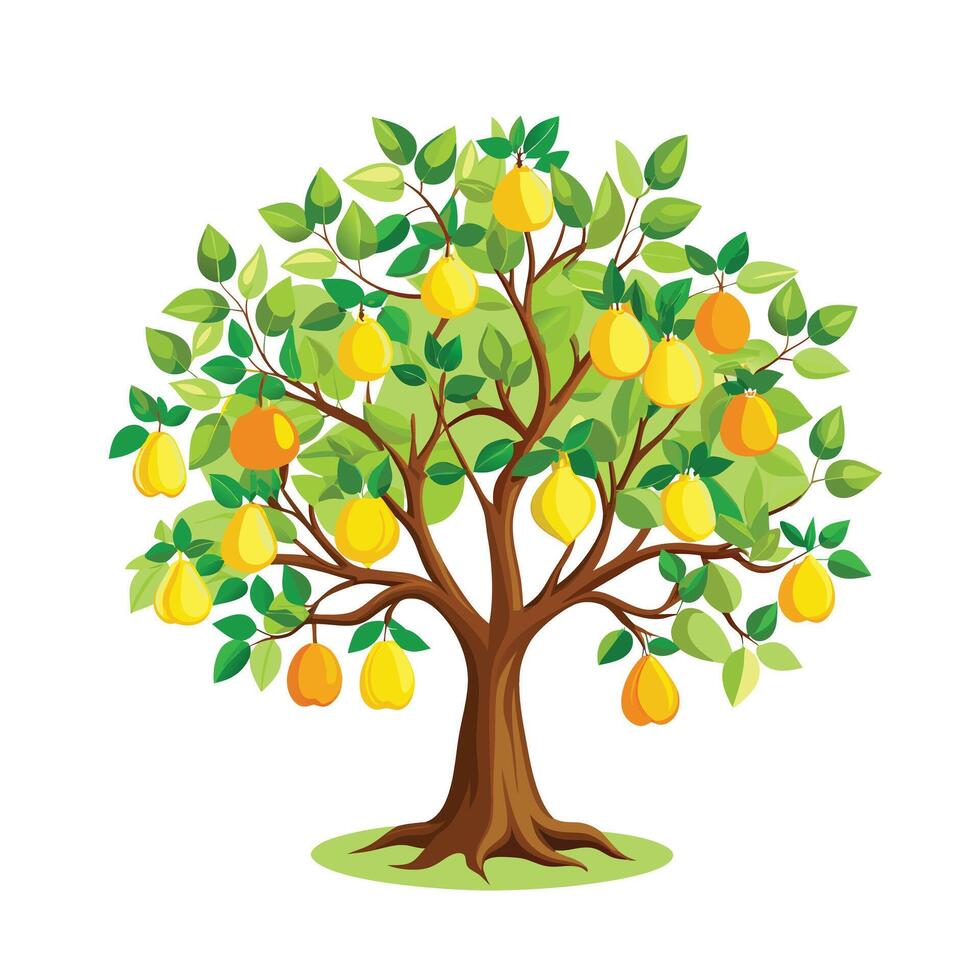 Beautiful Single Big Tree Illustration vector