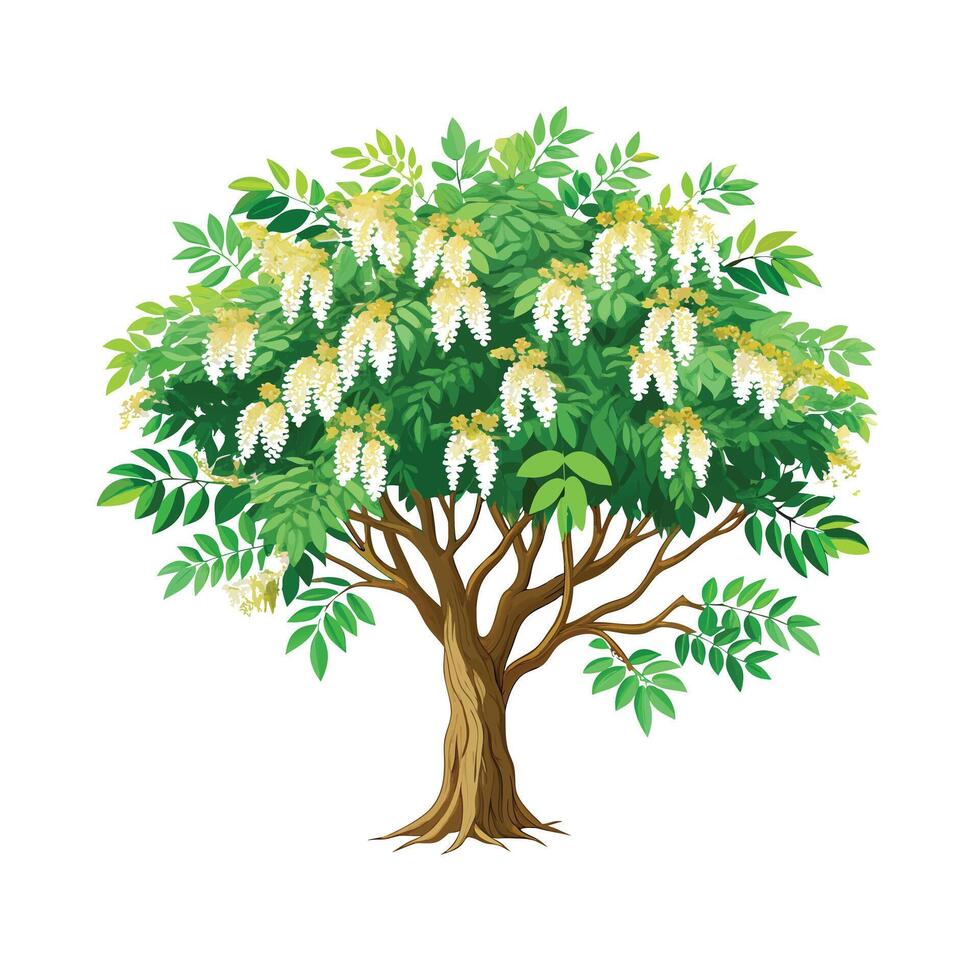 Beautiful Single Big Tree Illustration vector