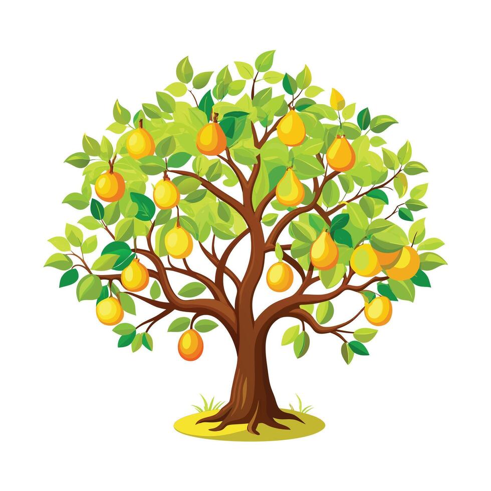 Beautiful Single Big Tree Illustration vector