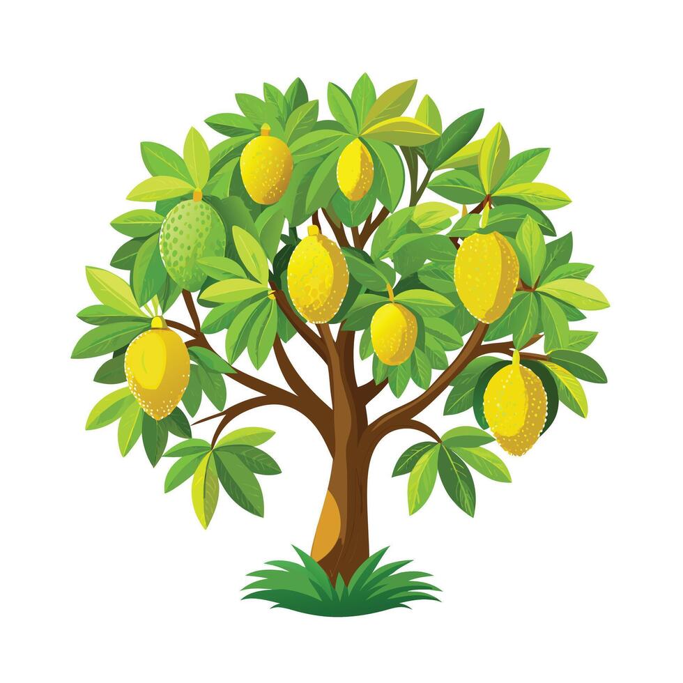 Beautiful Single Big Tree Illustration vector