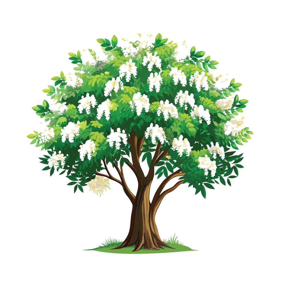 Beautiful Single Big Tree Illustration vector
