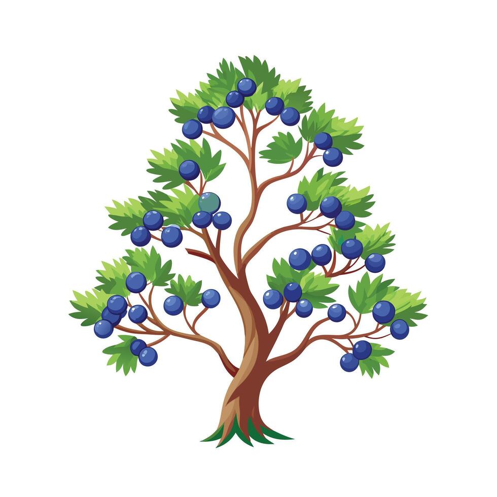 Beautiful Single Big Tree Illustration vector