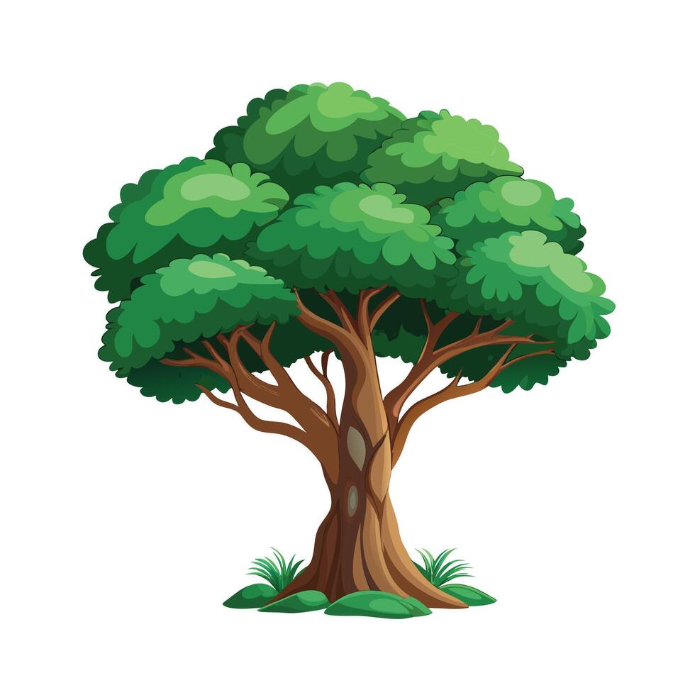 Beautiful Single Big Tree Illustration vector