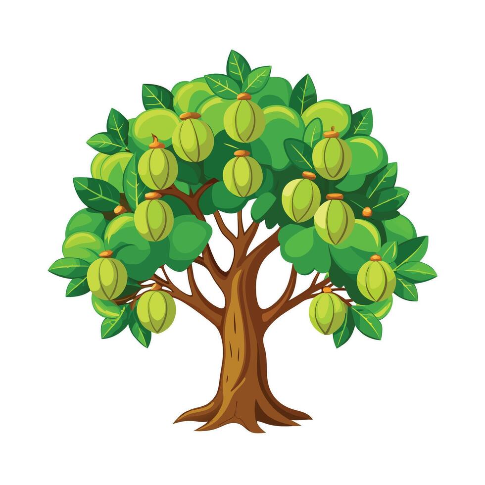 Beautiful Single Big Tree Illustration vector