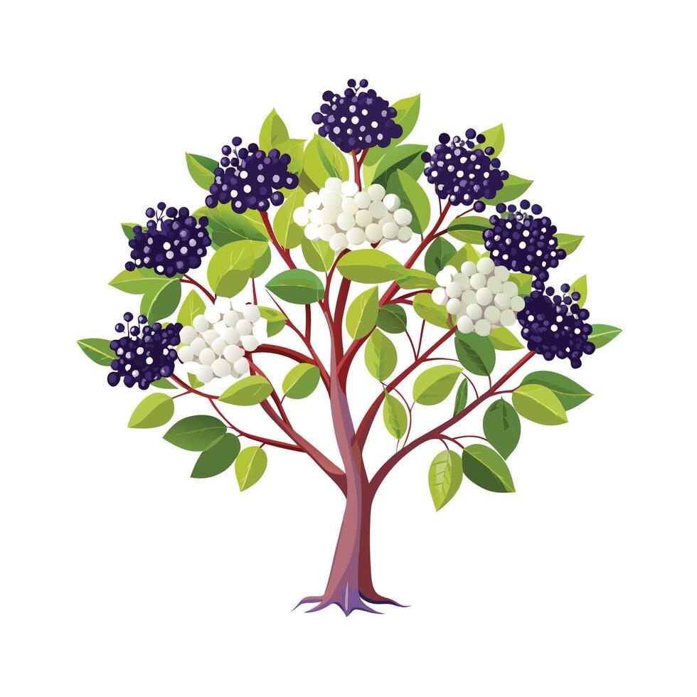 Beautiful Single Big Tree Illustration vector