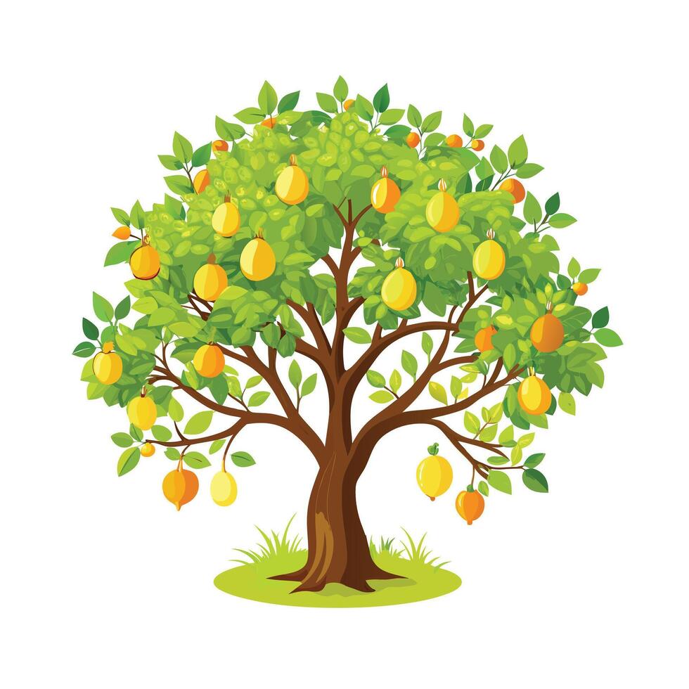 Beautiful Single Big Tree Illustration vector