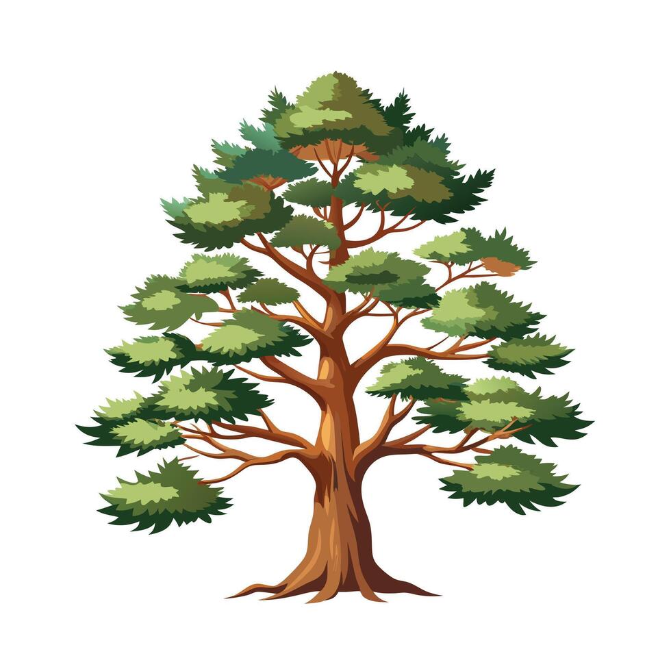 Beautiful Single Big Tree Illustration vector