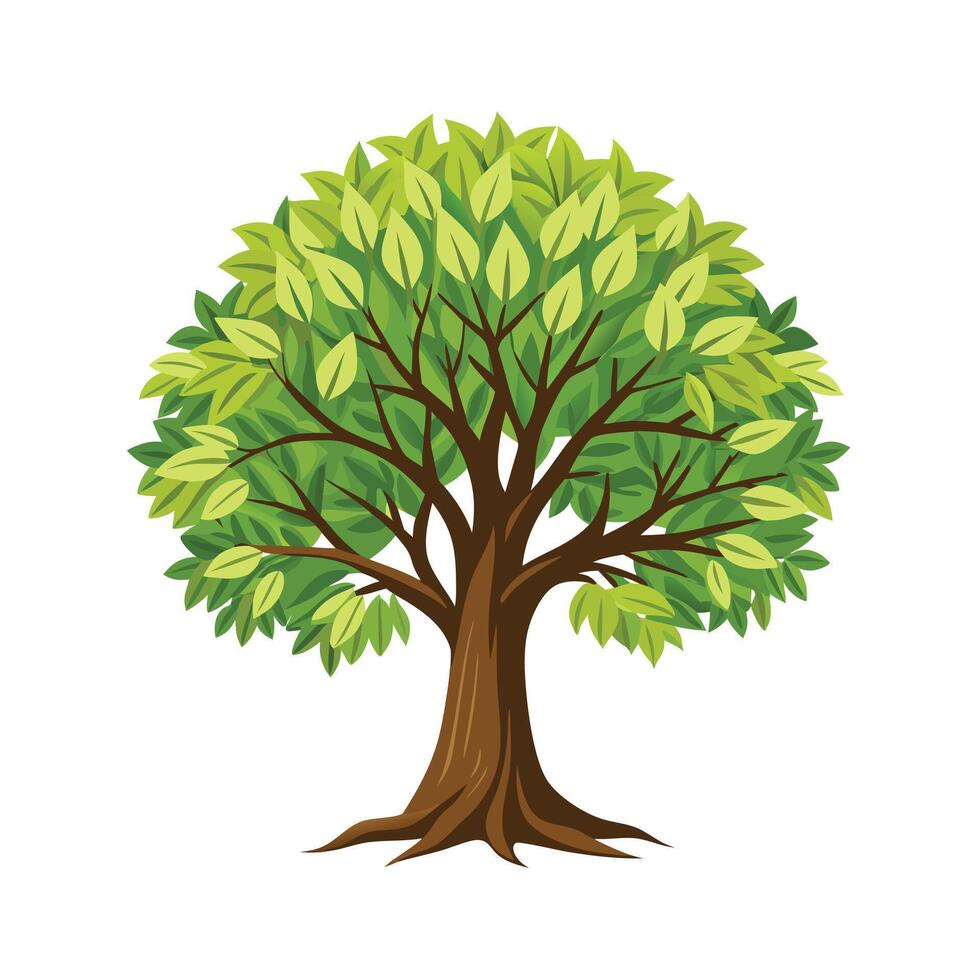 Beautiful Single Big Tree Illustration vector
