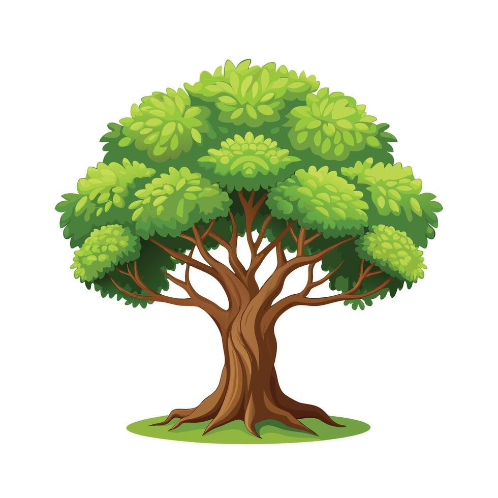 Beautiful Single Big Tree Illustration vector