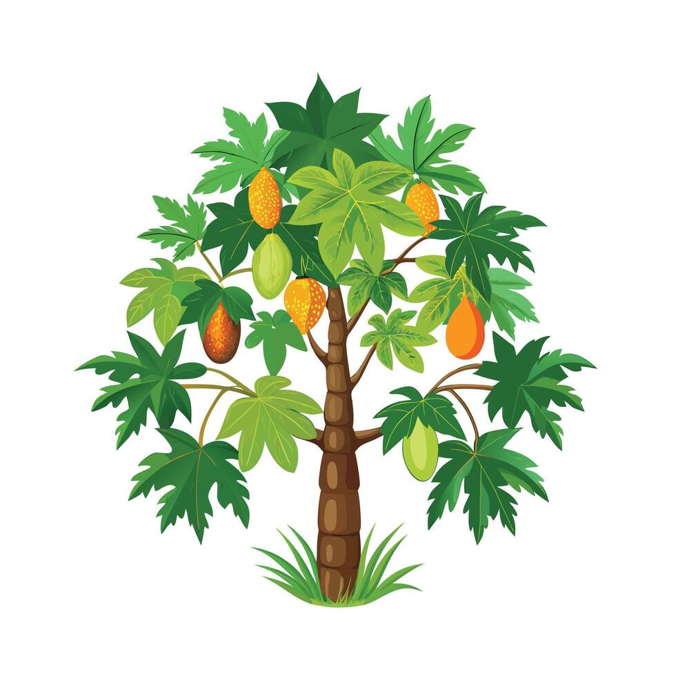 Beautiful Single Big Tree Illustration vector