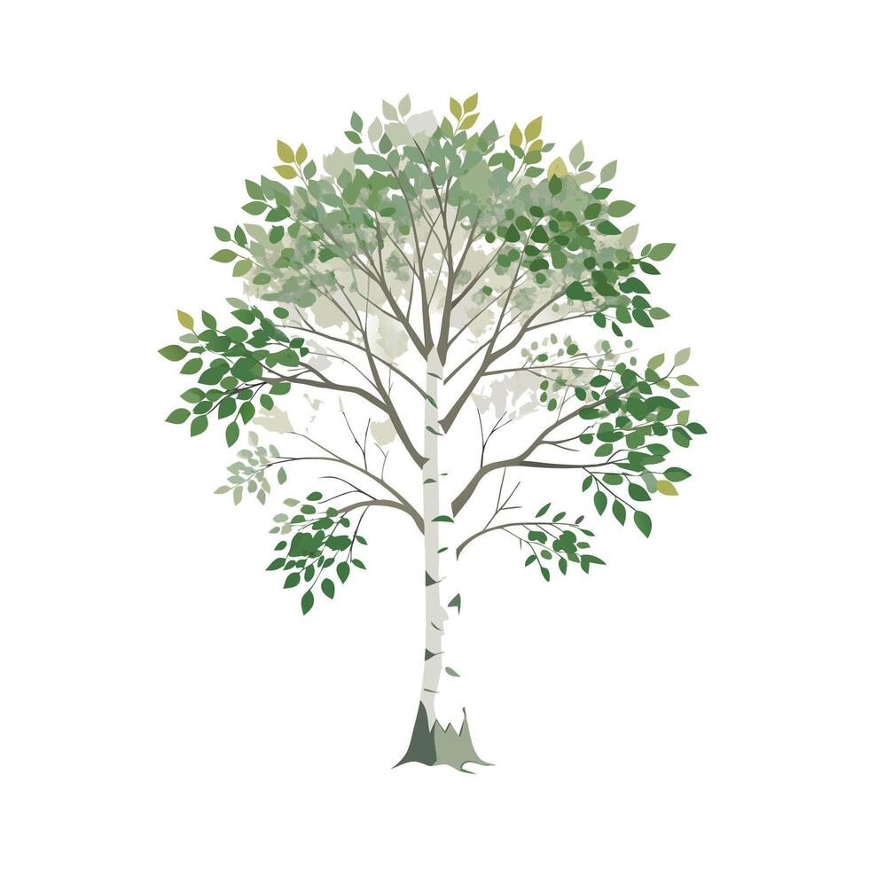 Beautiful Single Big Tree Illustration vector