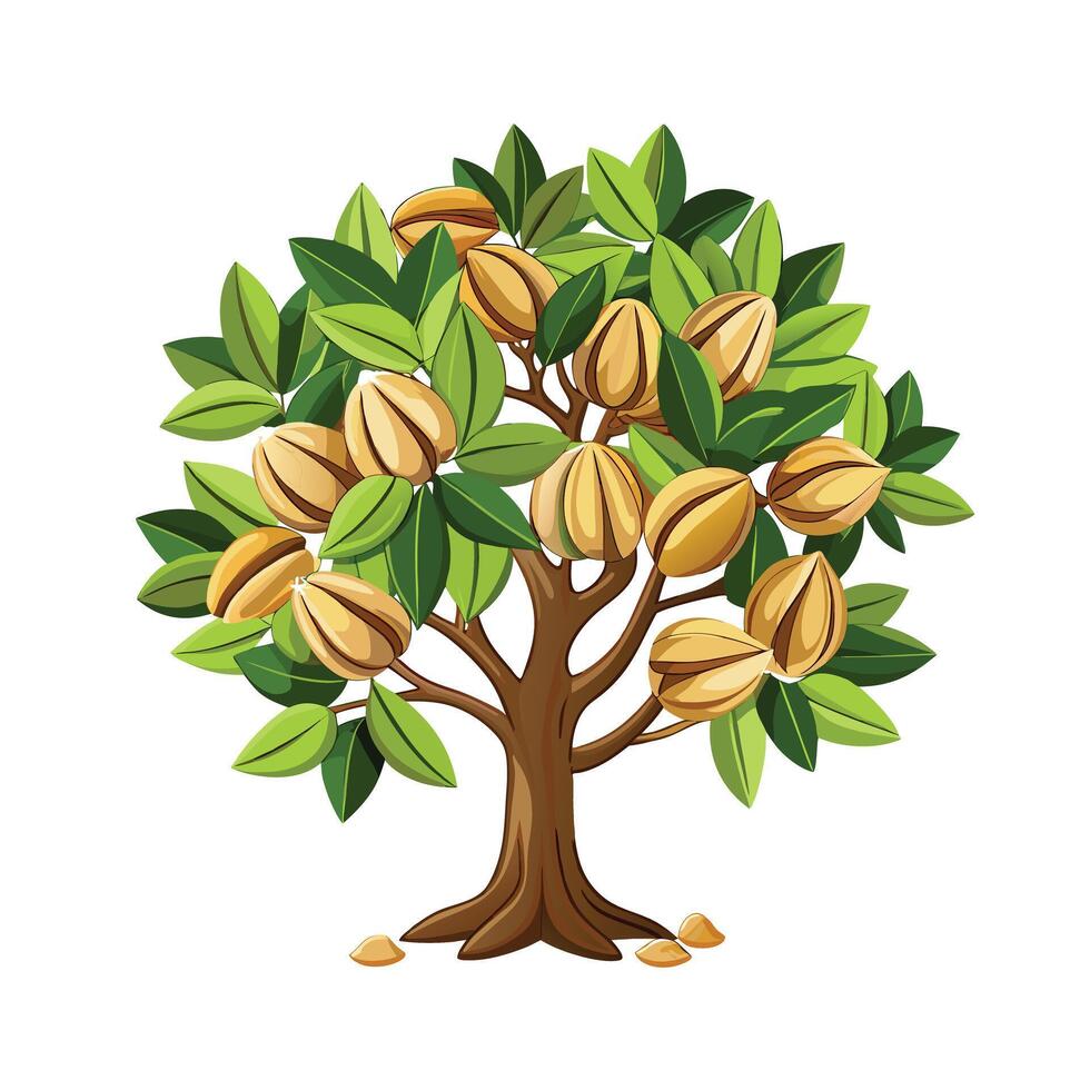 Beautiful Single Big Tree Illustration vector