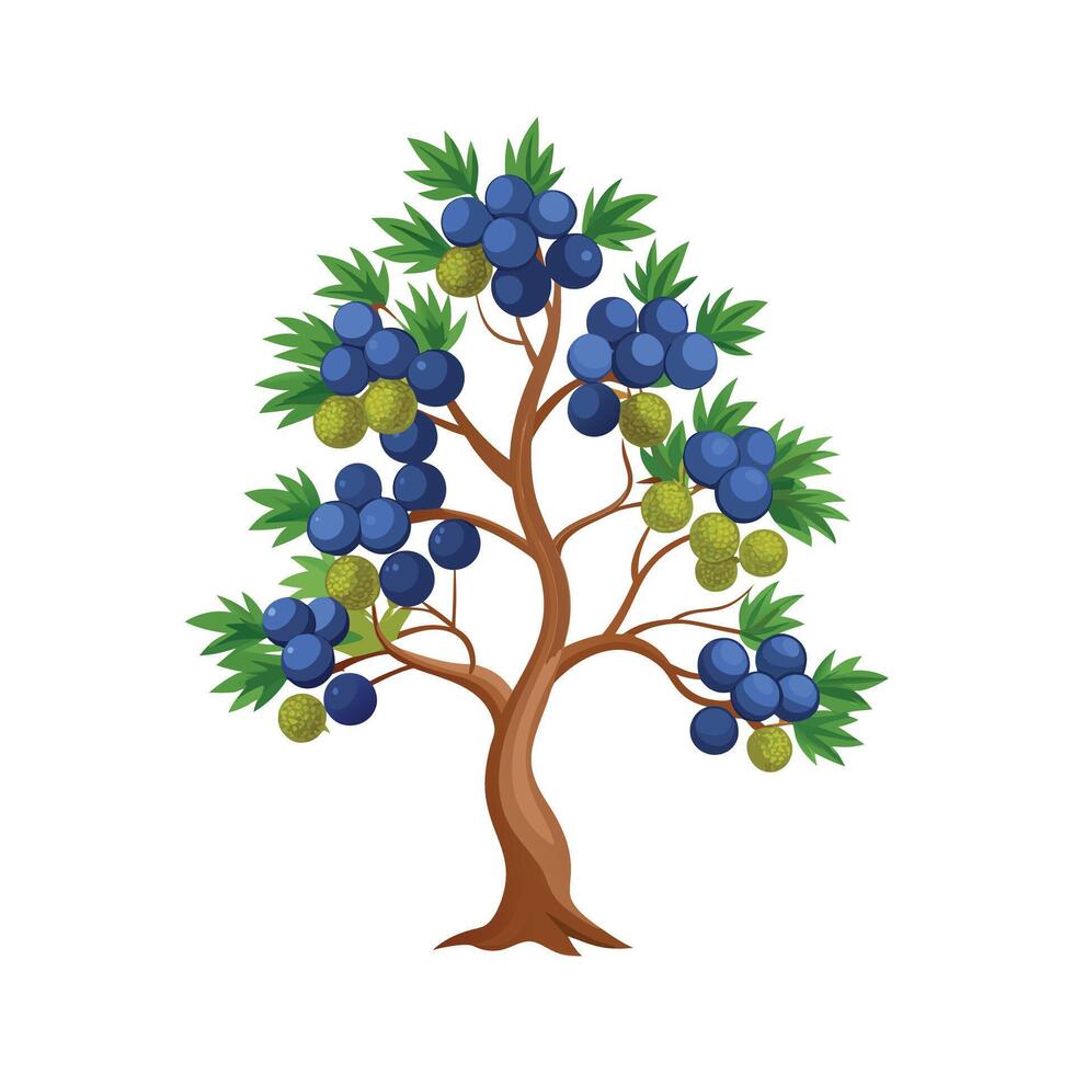 Beautiful Single Big Tree Illustration vector