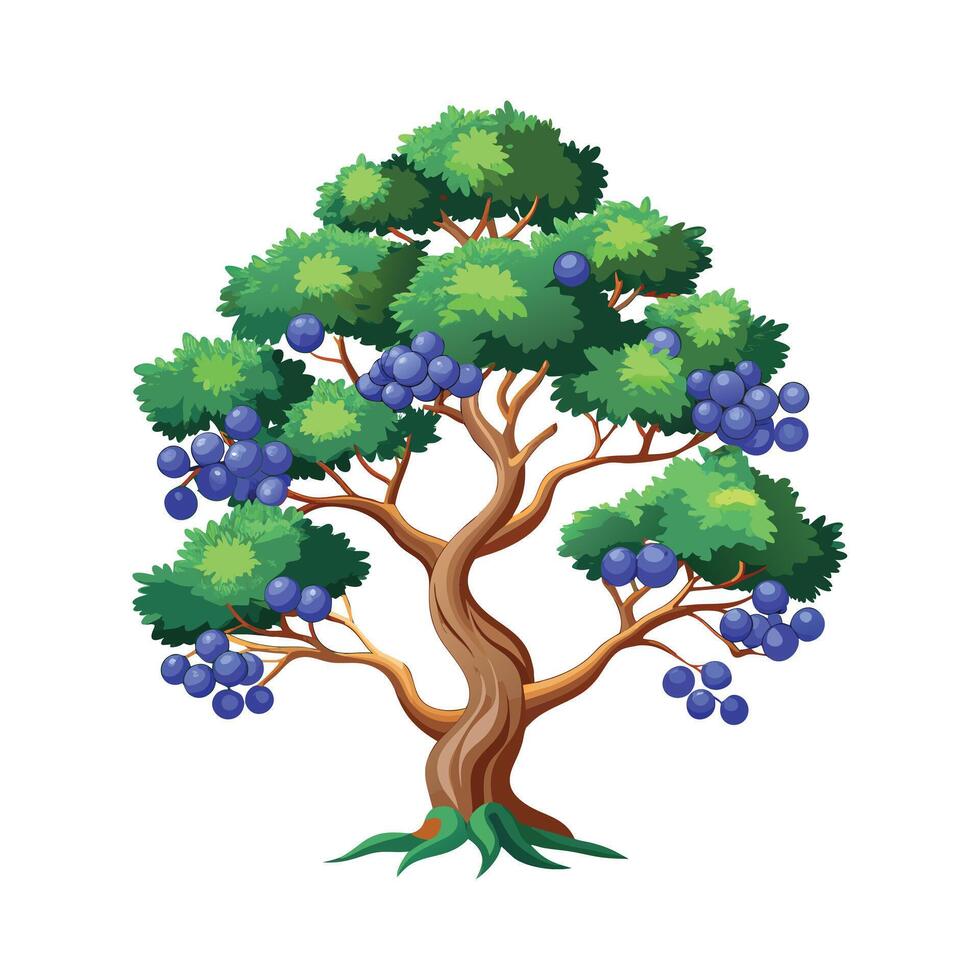Beautiful Single Big Tree Illustration vector