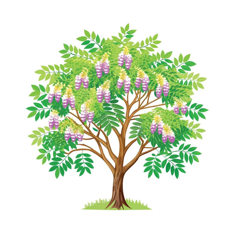 Beautiful Single Big Tree Illustration vector