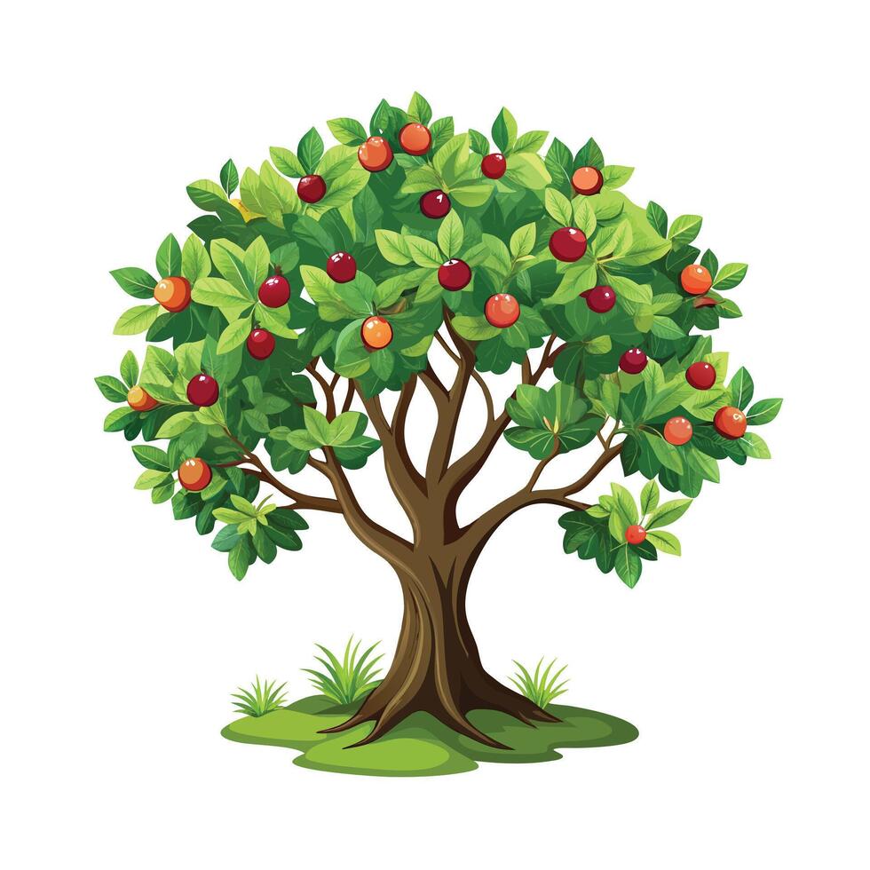 Beautiful Single Big Tree Illustration vector